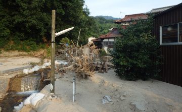 １．土砂の流出により埋まった木柱の撤去前です